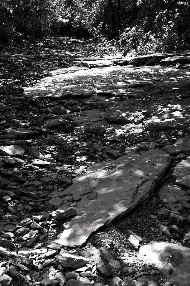 Black And White Creek Bed