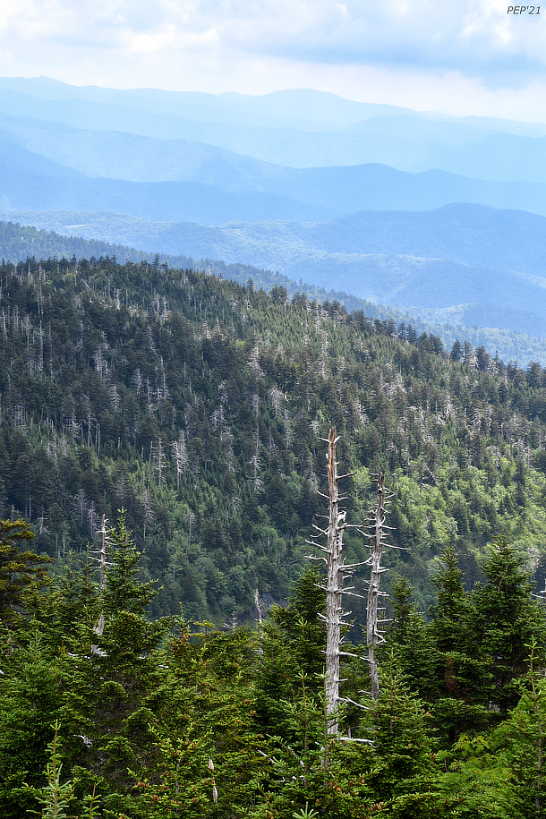 View From Clingman’s Dome