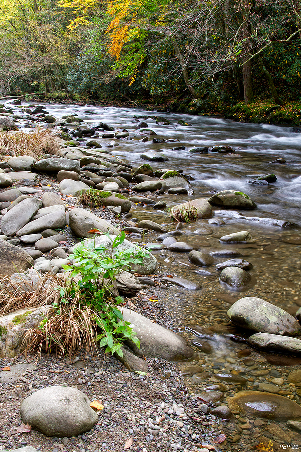Little River