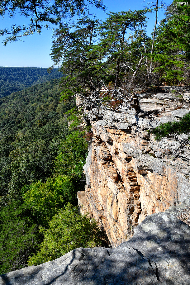 Savage Gulf