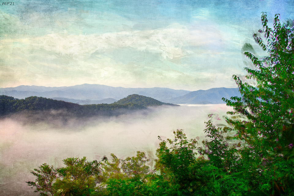 Fog In The Valley