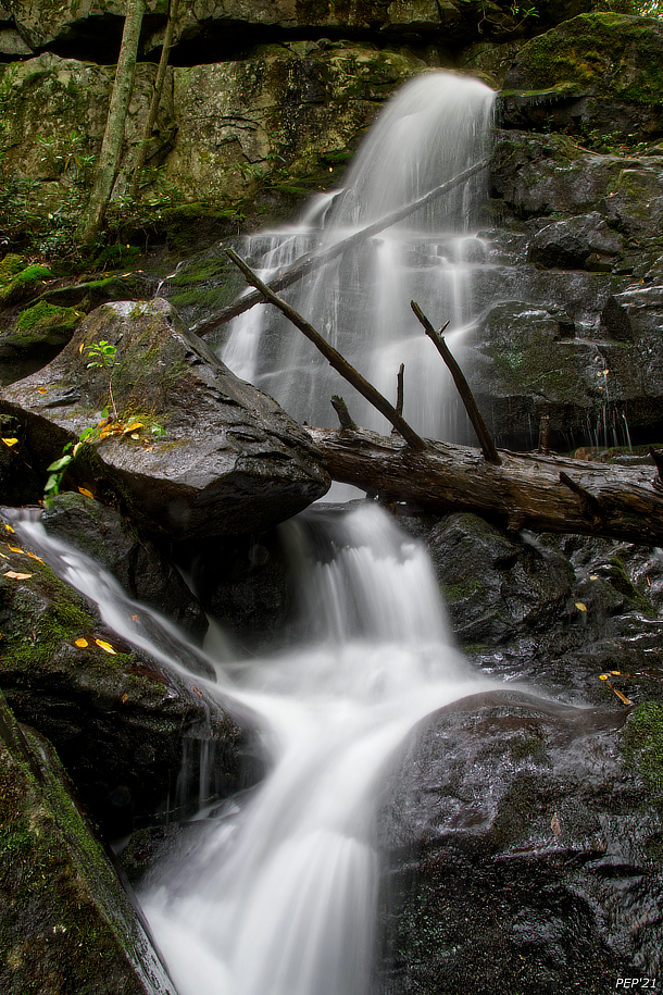Mannis Branch Falls