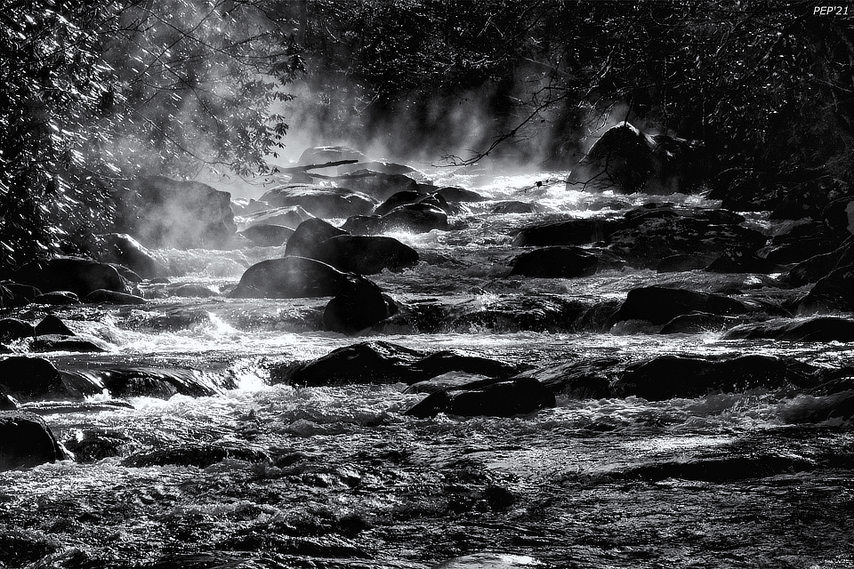 Fog on River