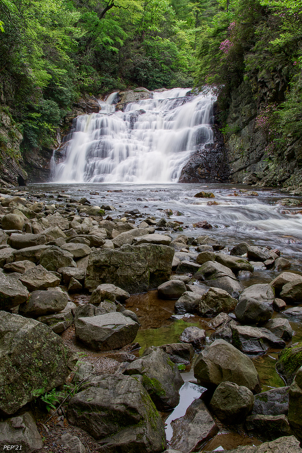 Laurel Falls