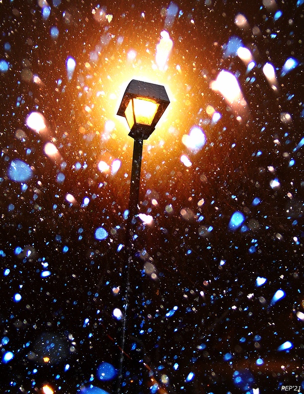 Winter Blizzard