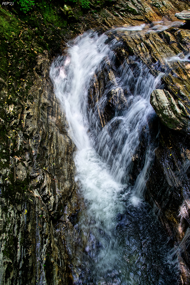 Falling Water