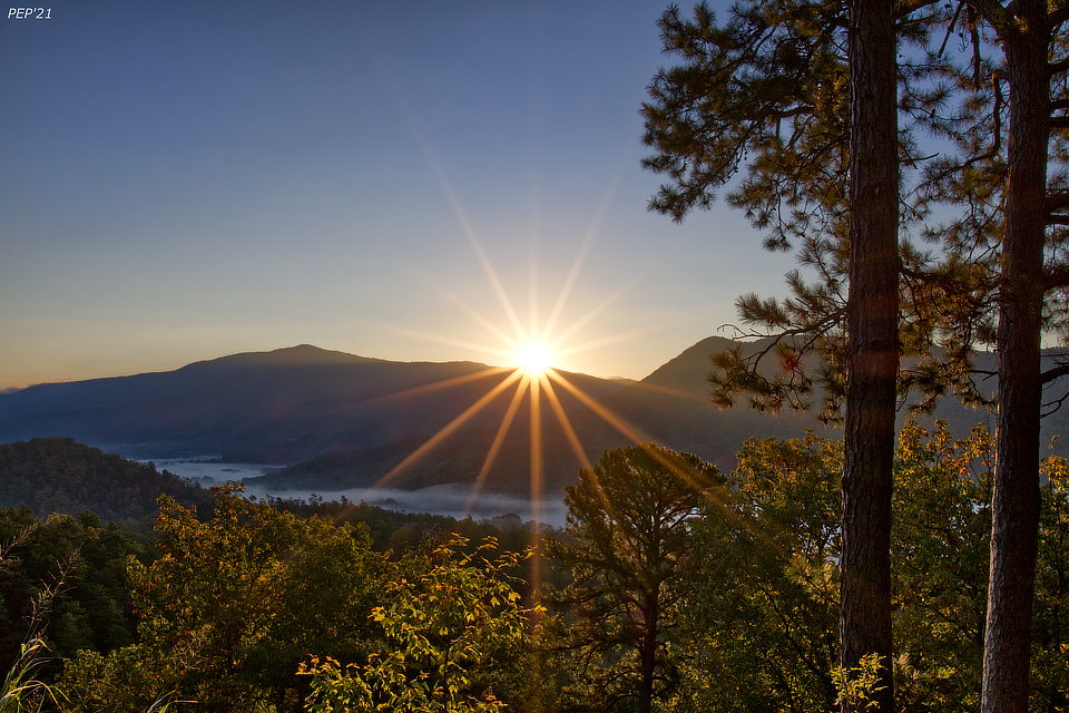 Good Morning Sunshine