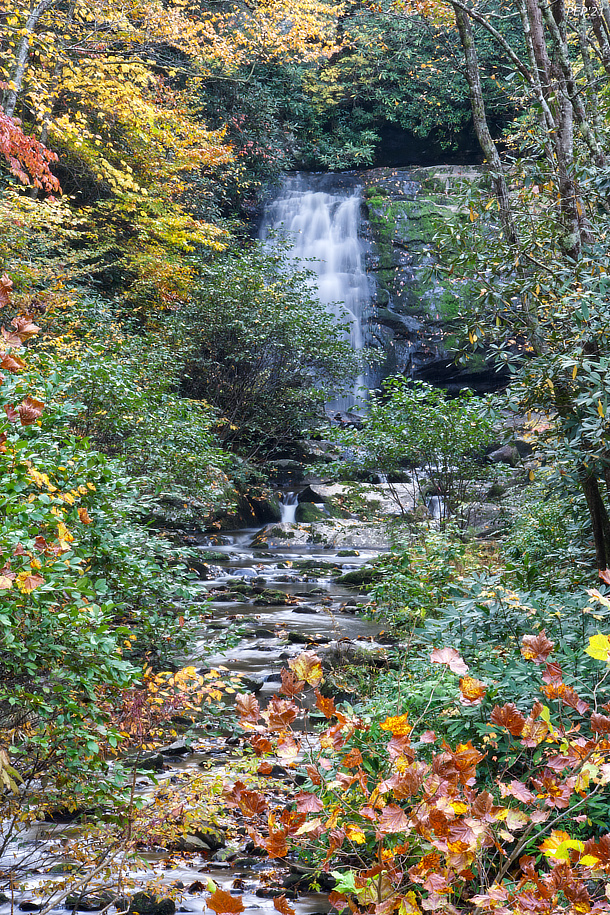 Meigs Falls