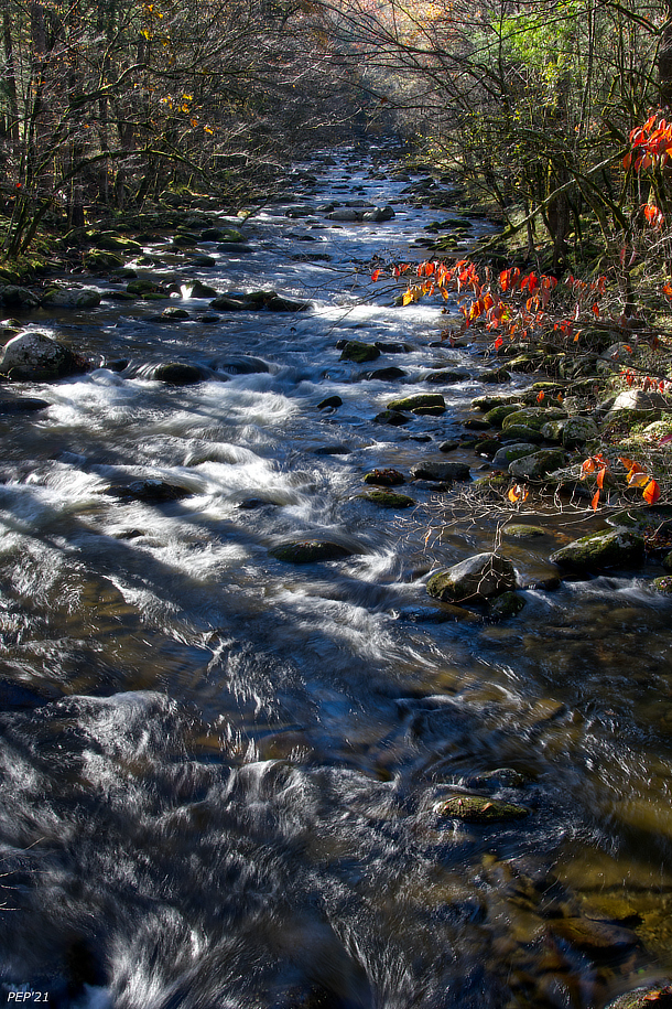 Shadows Across River