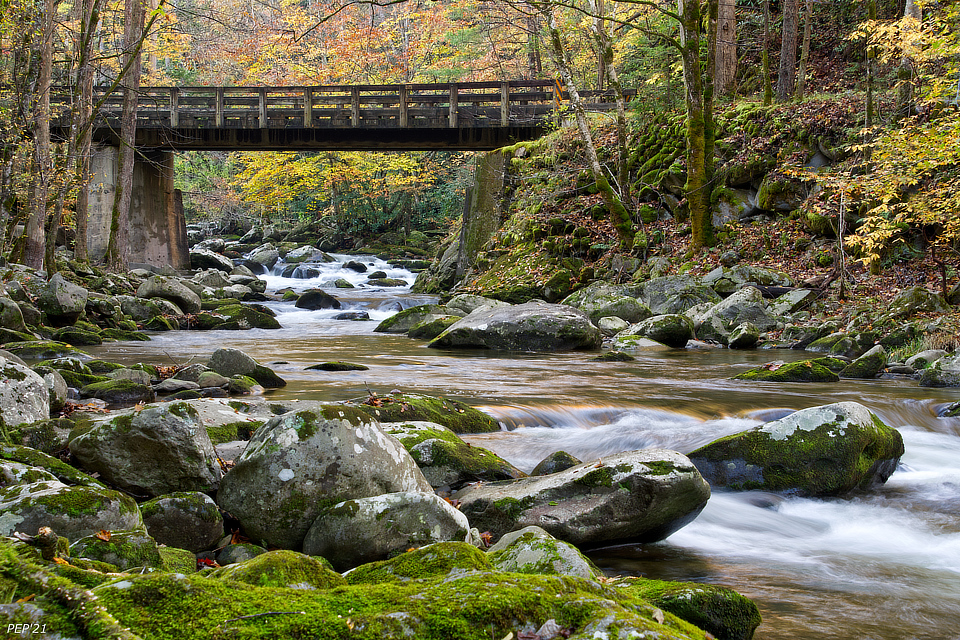 Rustic Wooden Bridge