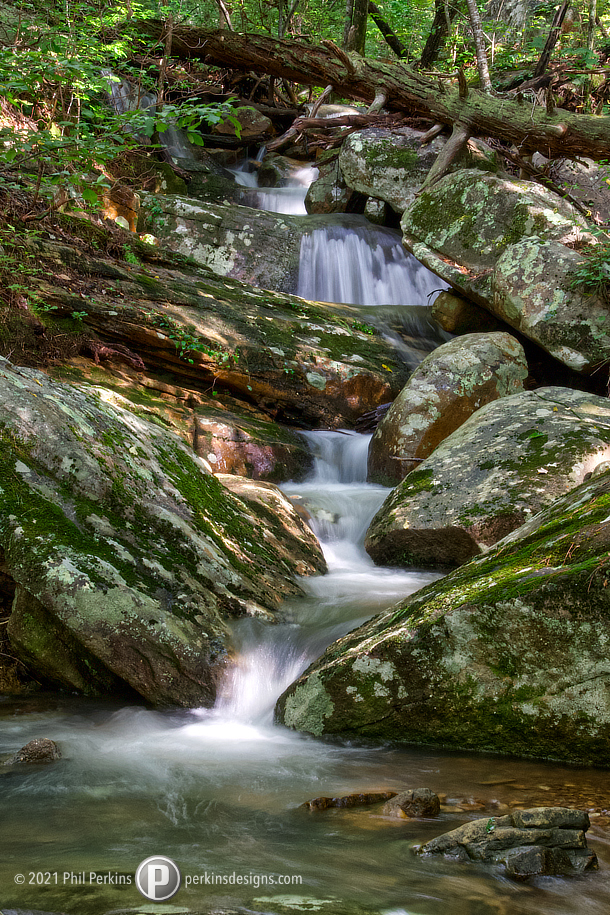 Water in Woods
