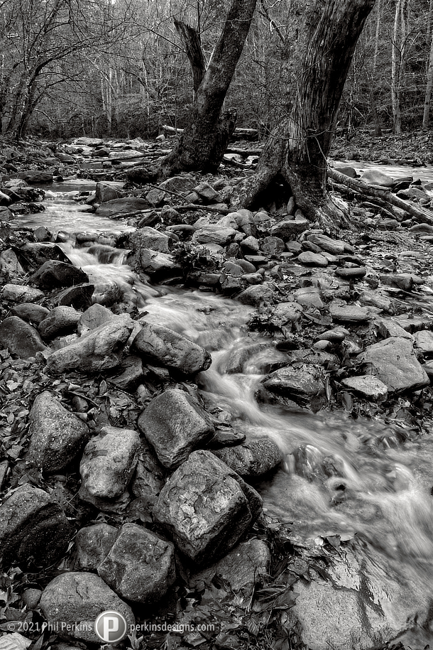 Black and White River