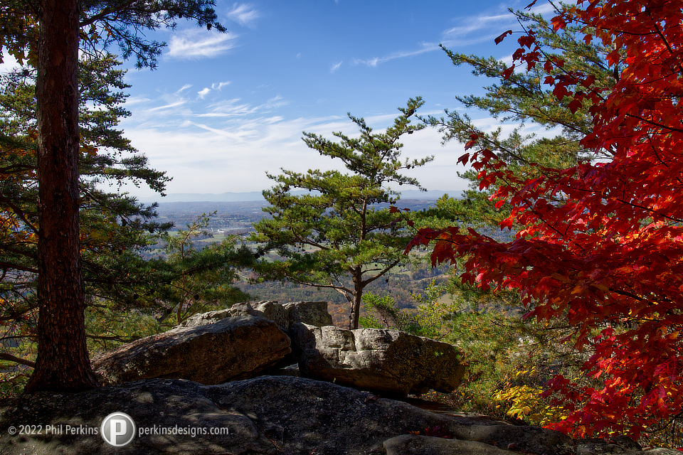 Autumn View