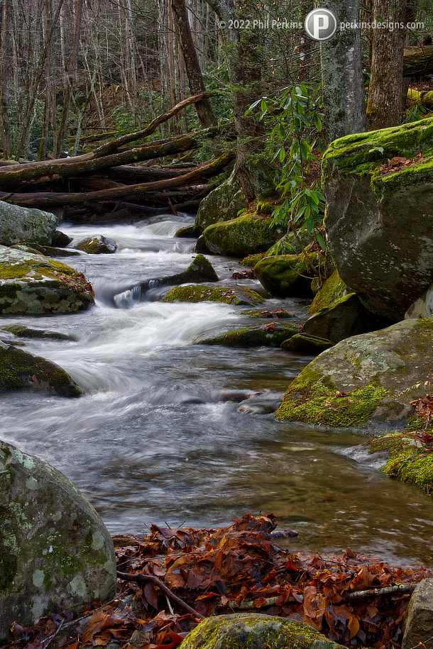 Forest River