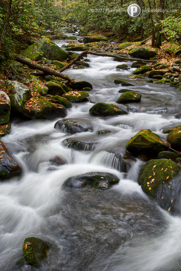Moss on the Water