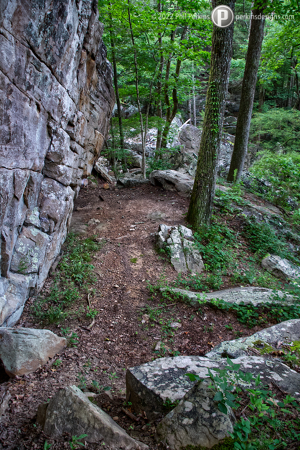 Hiking Paine Creek