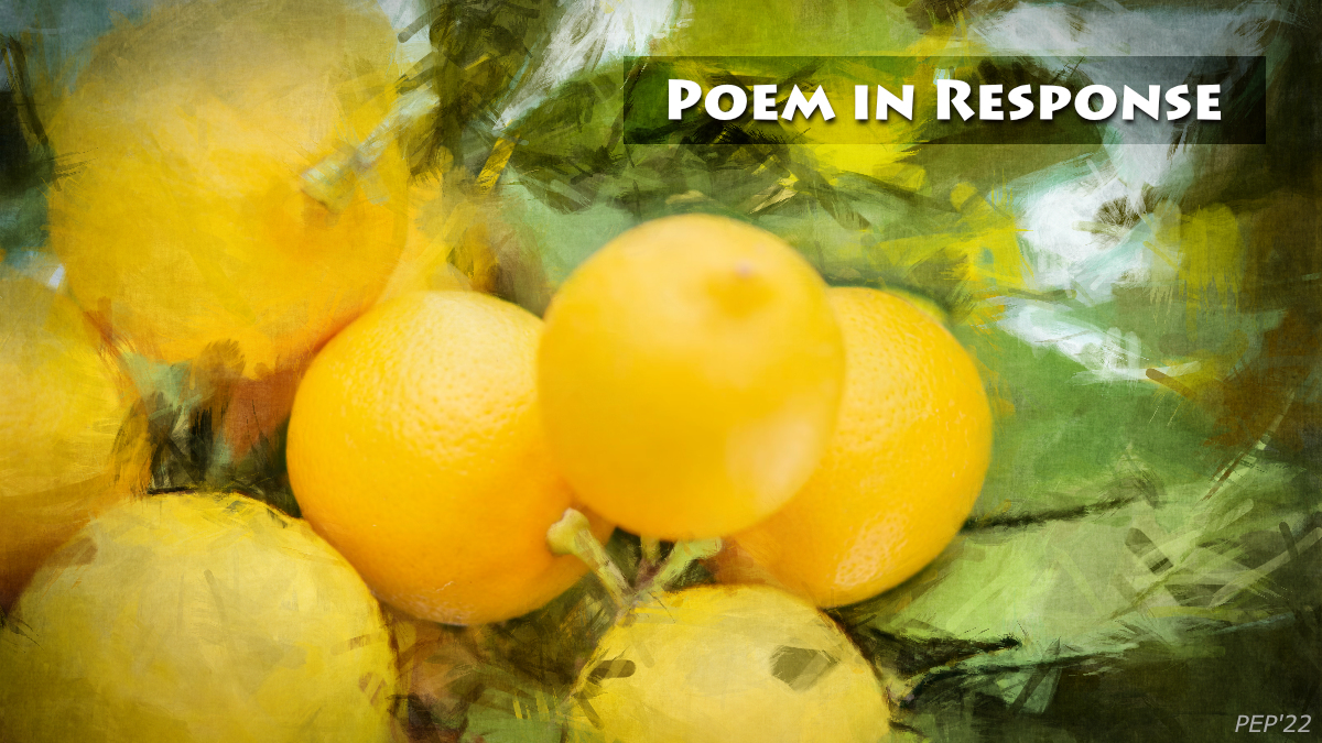Poem in Response