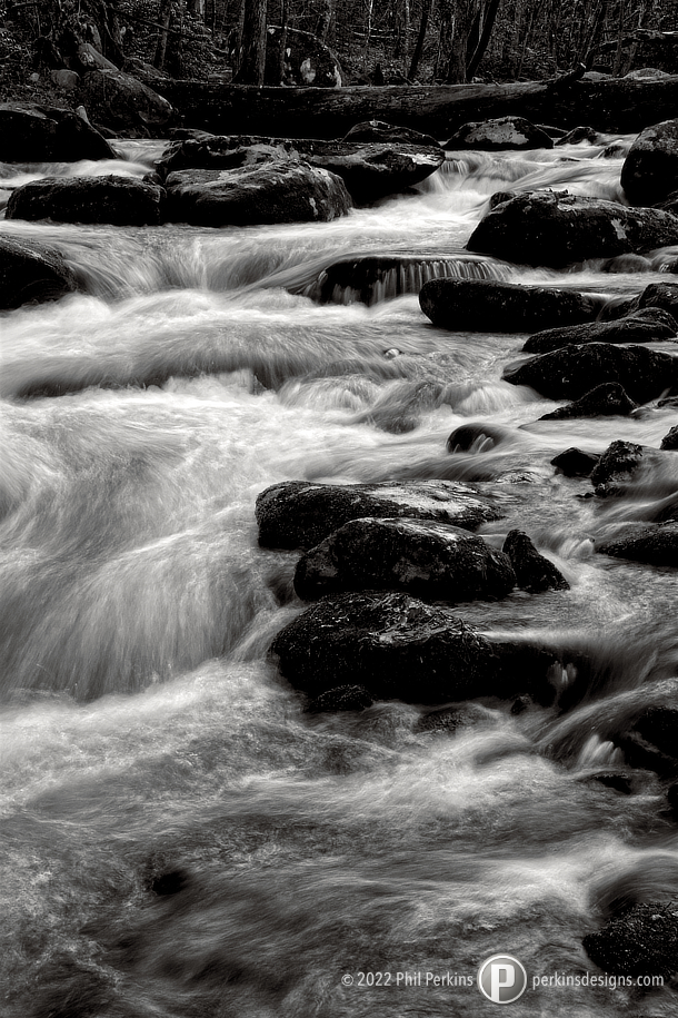 Black and White Rapids