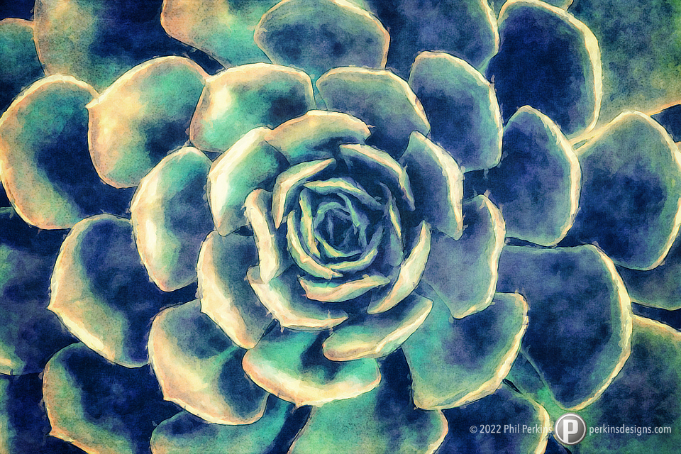 Southwestern Succulent