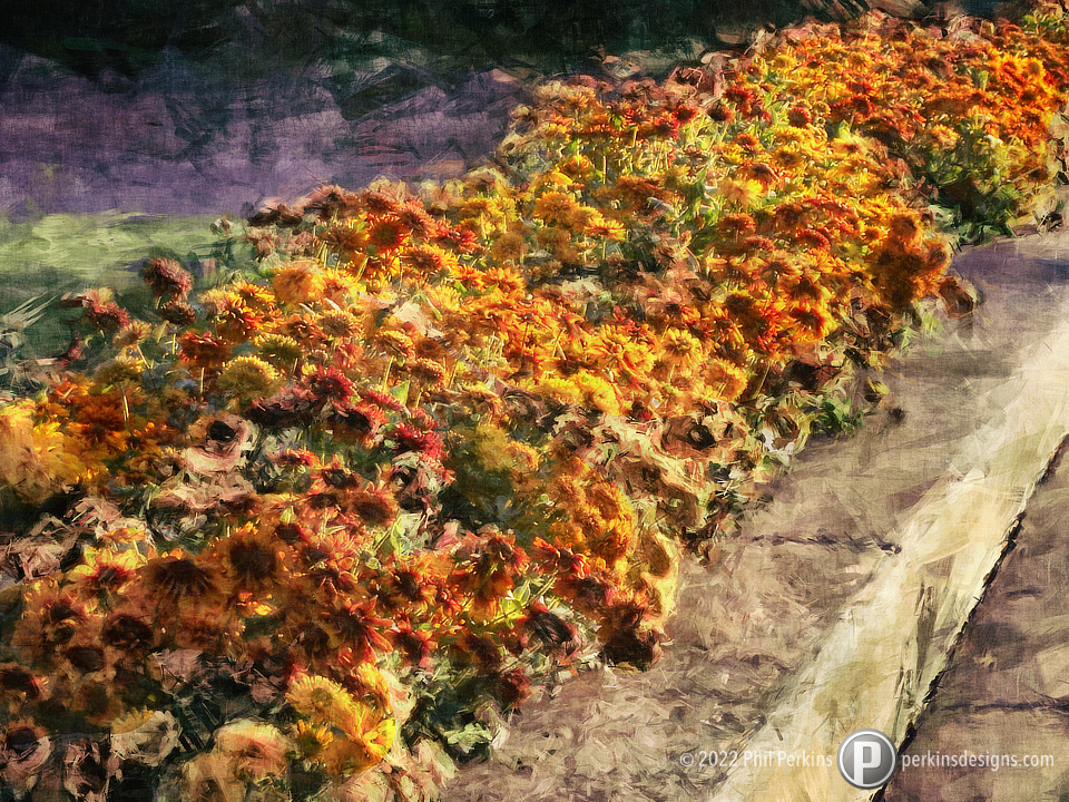 Urban Garden