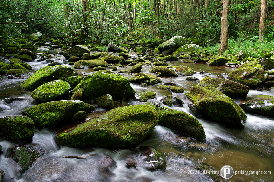 Moss Covered Rocks