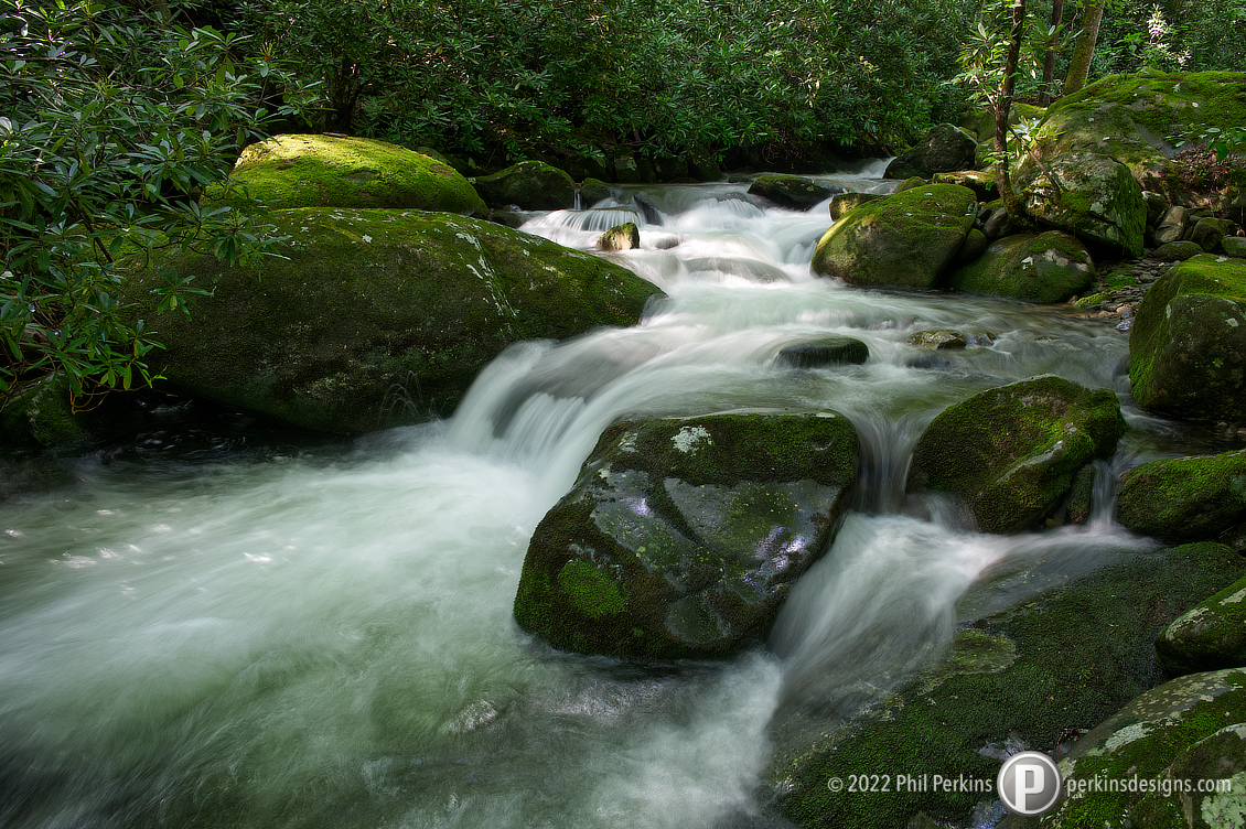 Rapids at First Light