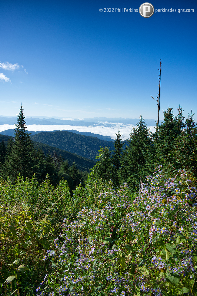 Morning in the Mountains