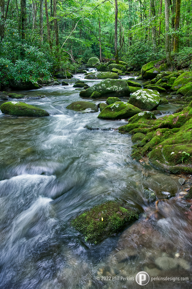 Moss on the Water