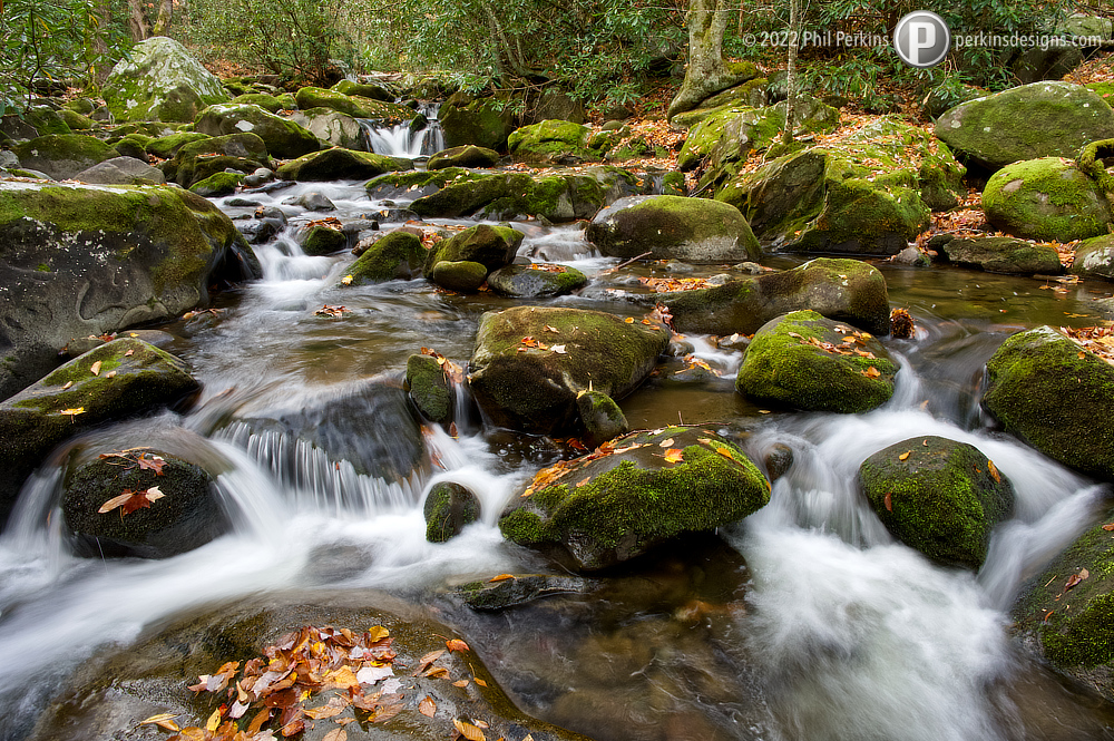 Way of Water