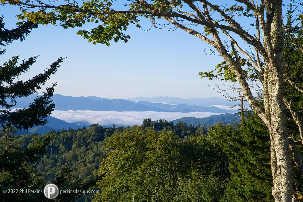 Framed View