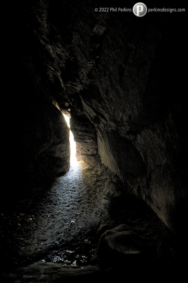 Into the Light