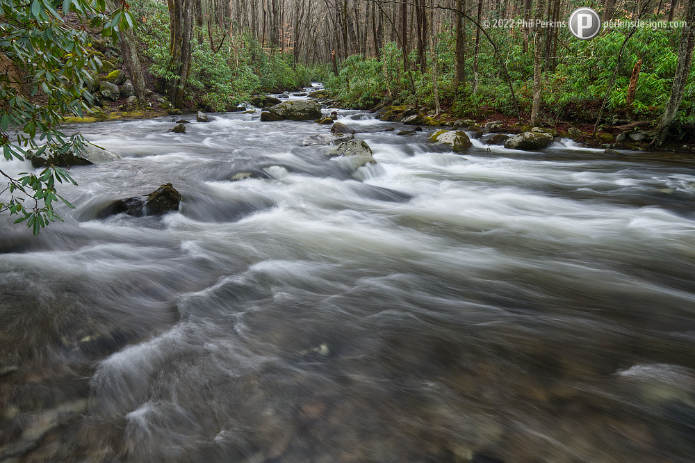 Flow With the Rain