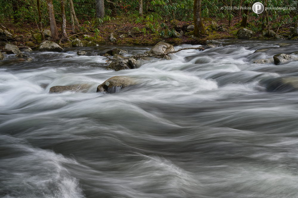 Flowing Through the Forest