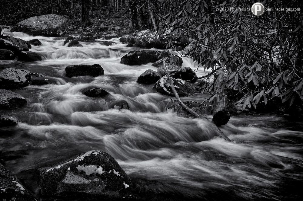 Black and Whitewater