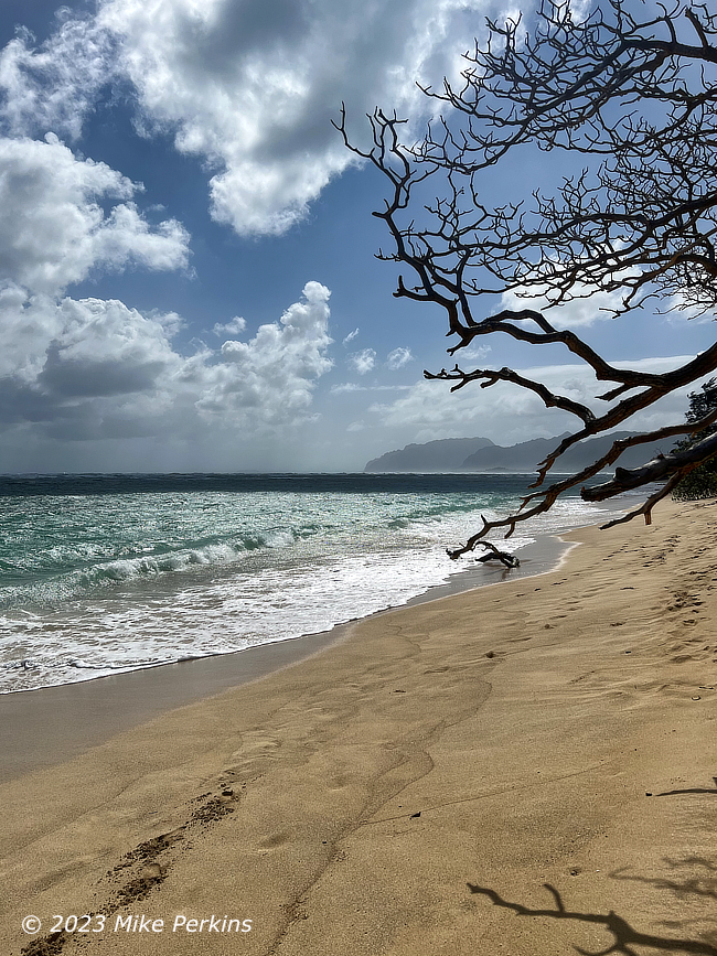 Slice of Paradise
