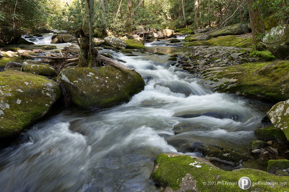 Into the Gorge