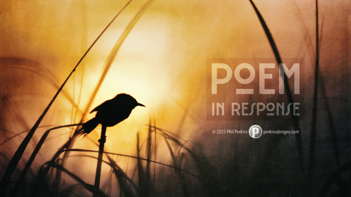 Poem in Response