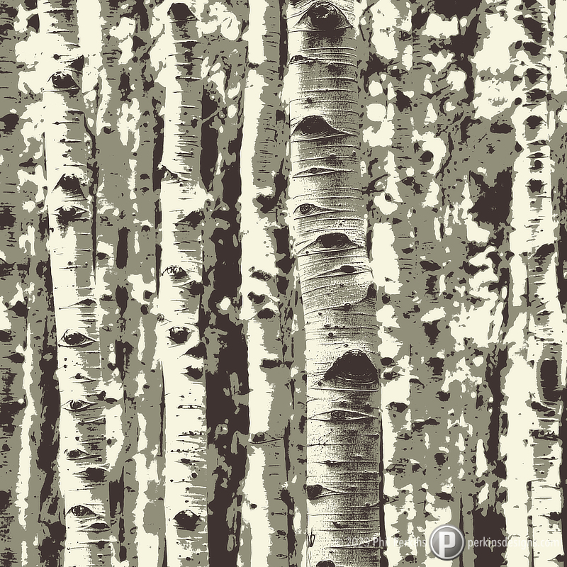 Birch Forest
