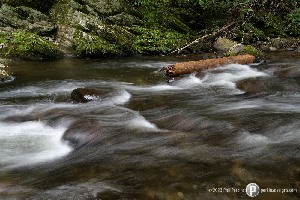 Log in River