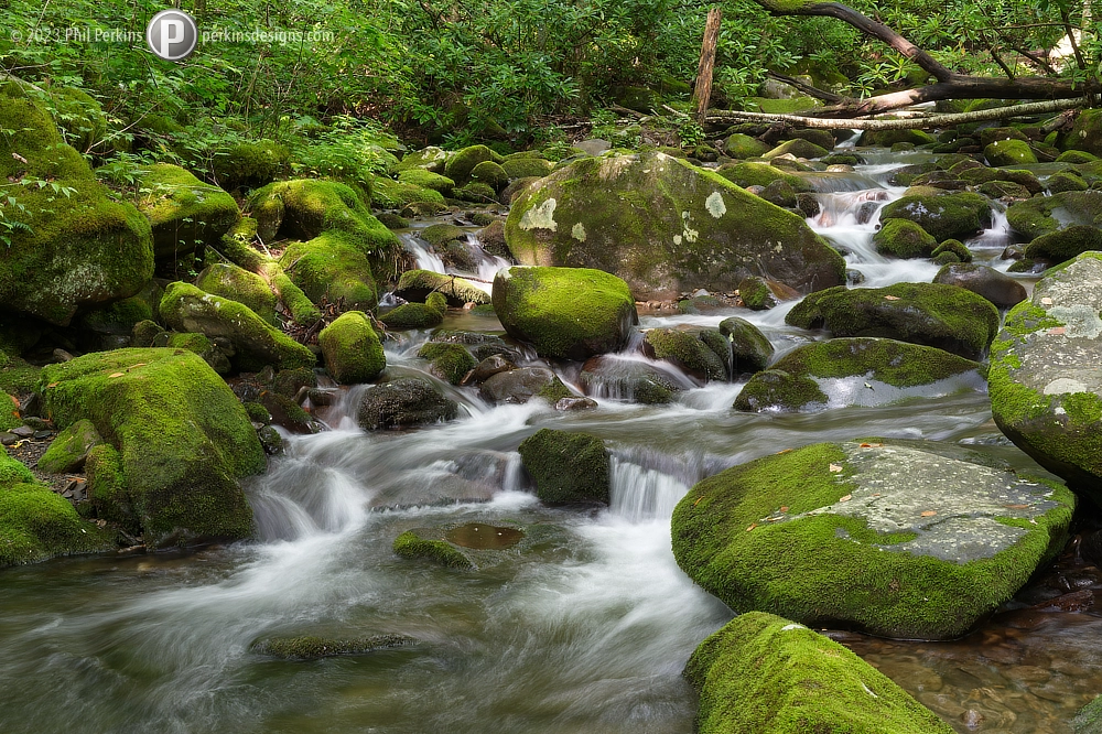 Water, Rocks and Moss