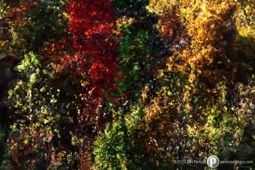 Autumn Abstract