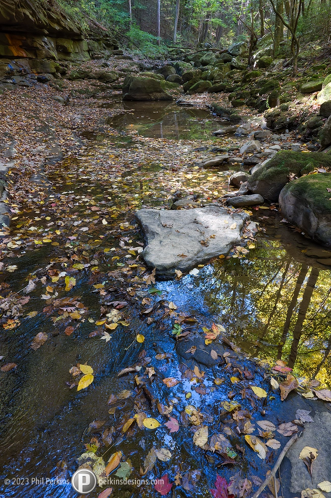 Morgan Creek