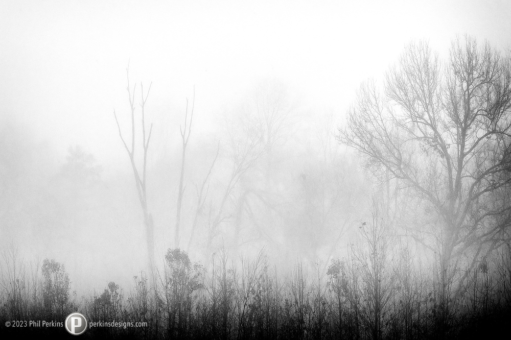 Morning Fog