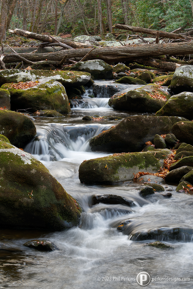 Cascades on Lynn Camp Prong