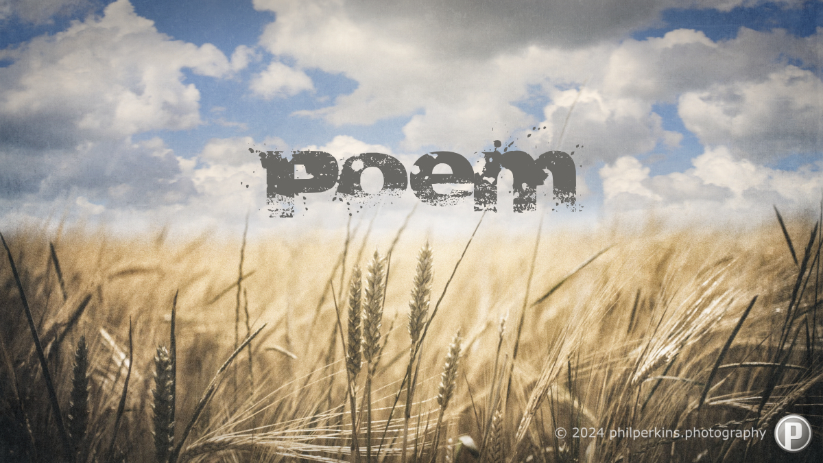 Poem for the New Year