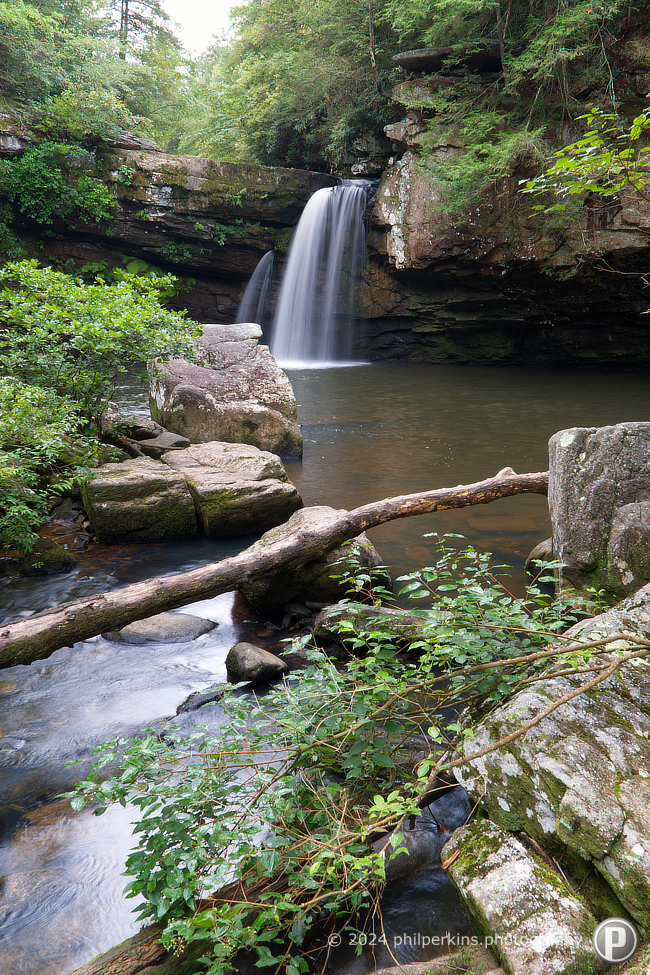 Savage Falls