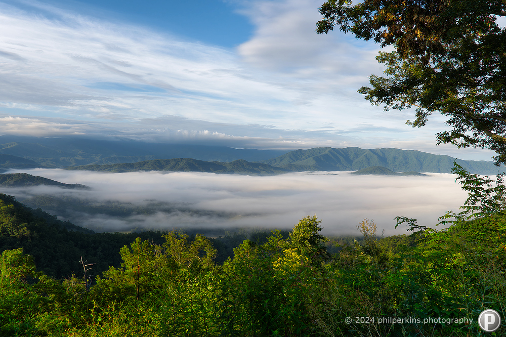 Fog in the Valley