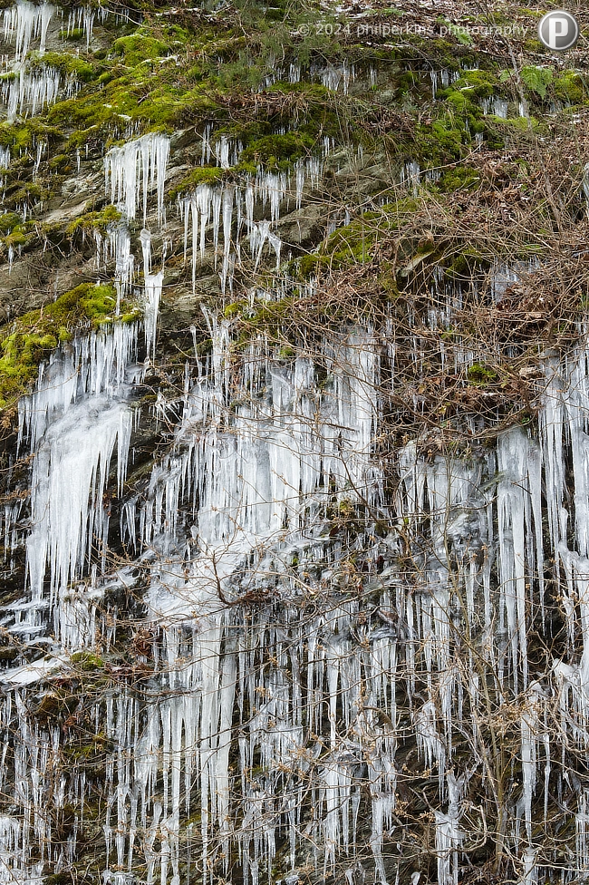 Roadside Attraction