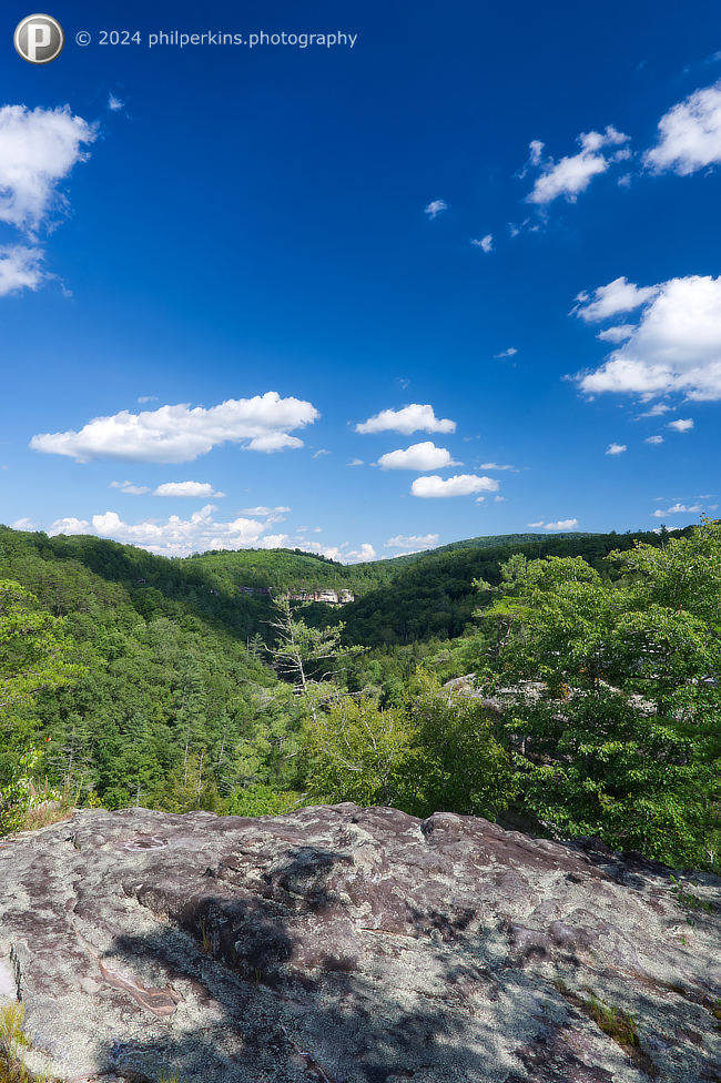 Lily Bluff Overlook