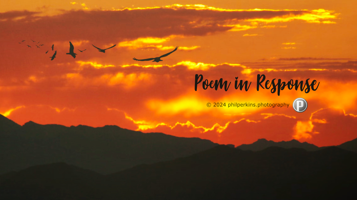 Poem in Response